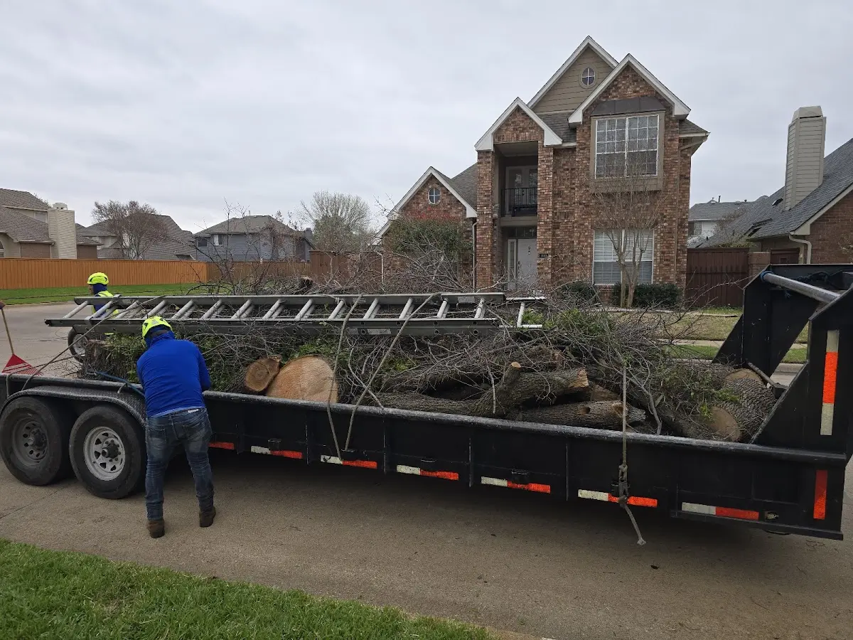 Expert Crown Reduction with proper safety equipment in Audubon